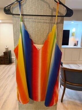 Socialite Rainbow Striped Scalloped V-Neck Cami - Size M 🌈